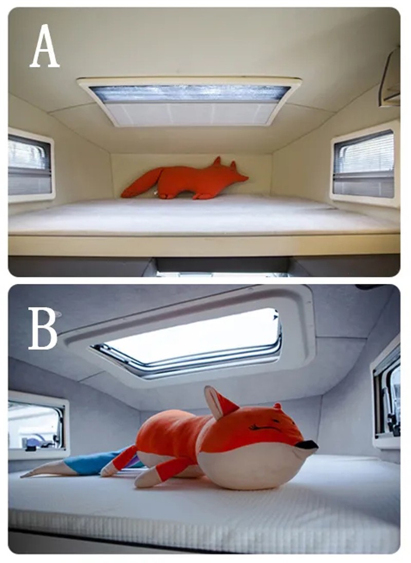 哪款自由炮和您更般配？