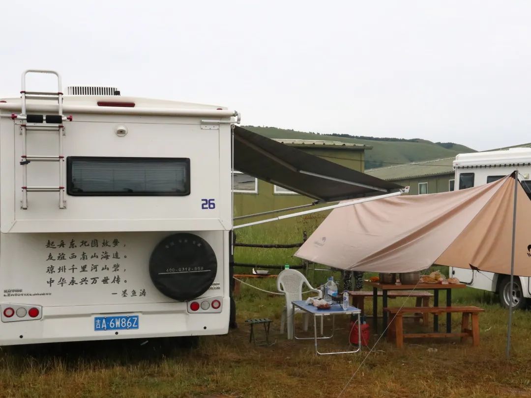 來福，以精致矗立在野性之中