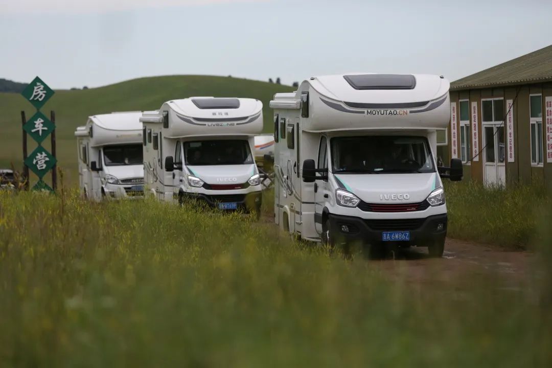 來福，以精致矗立在野性之中